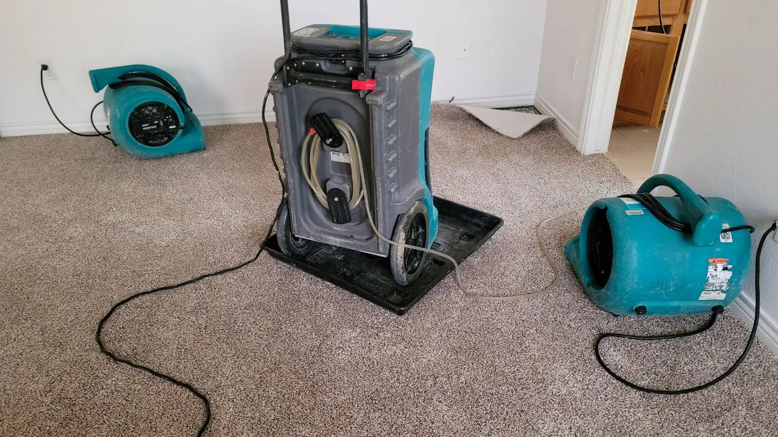 Dehumidifier and air mover drying a carpeted room